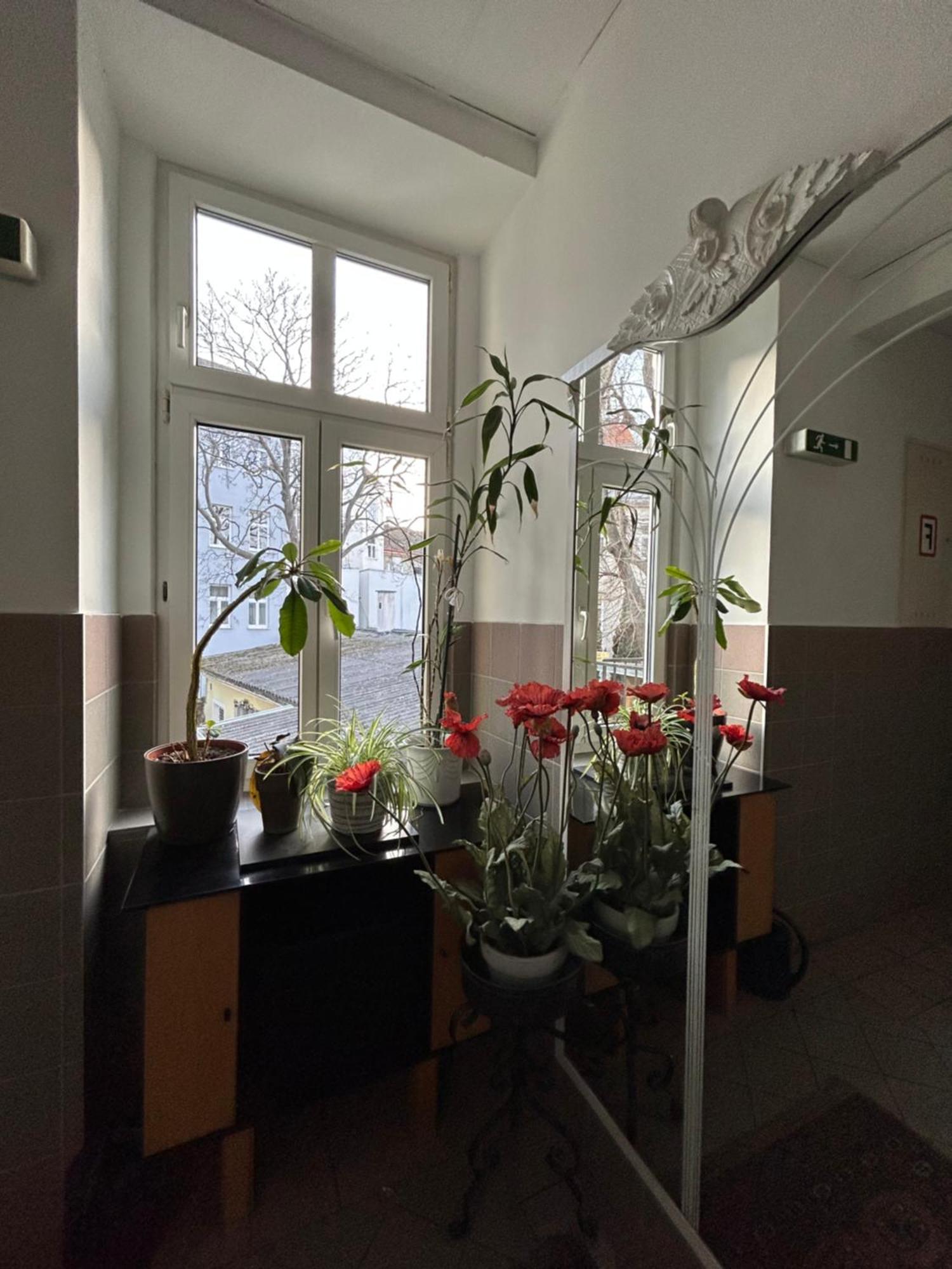 Reiner Apartment Βιέννη Εξωτερικό φωτογραφία